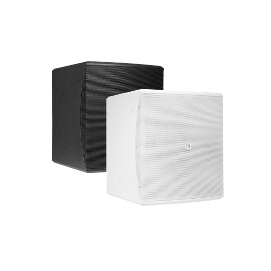 Subbas 10'' i gruppen Hembioutrustning hos Ask�s Testmilj� 1 (AUD-BASO10)